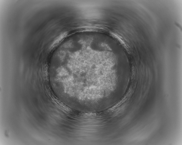 X0000094791403200712071217