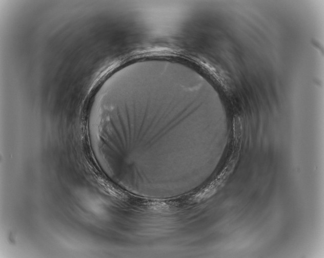 X0000094791405200712071217