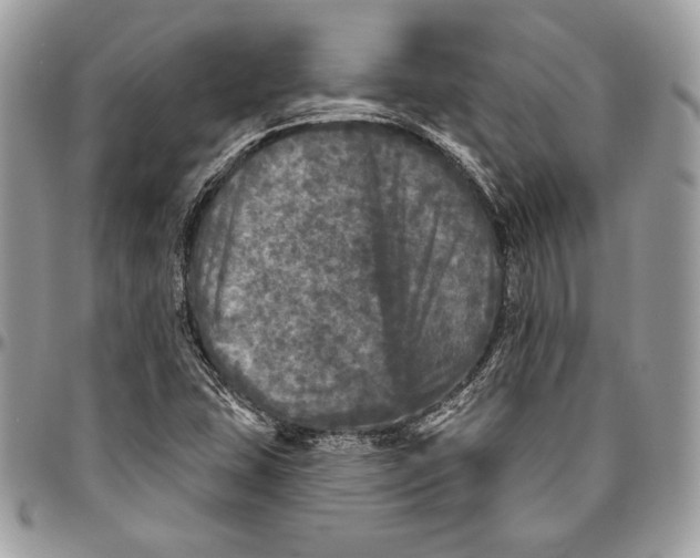 X0000094791407200712071217