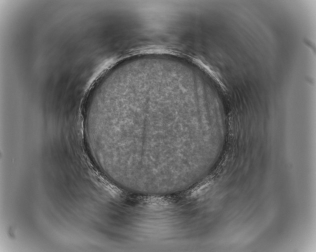 X0000094791408200712071217