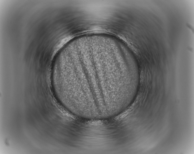 X0000094791410200712071217