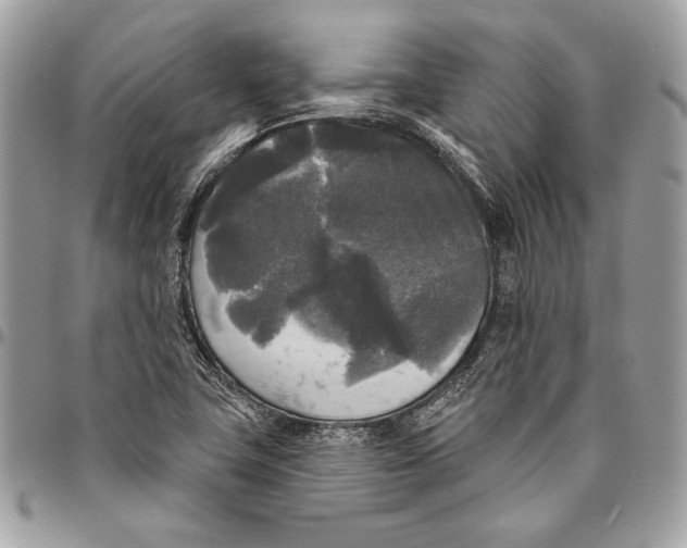 X0000094791411200712071217