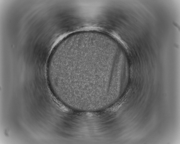 X0000094791412200712071217