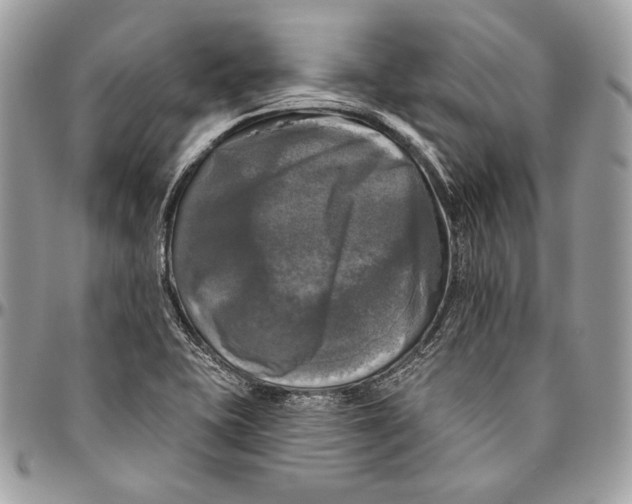 X0000094791415200712071217