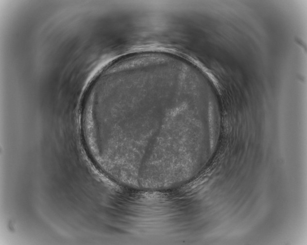 X0000094791416200712071217