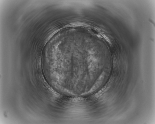 X0000094791417200712071217