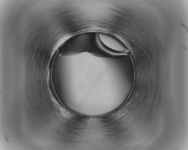 X0000094791418200712071217