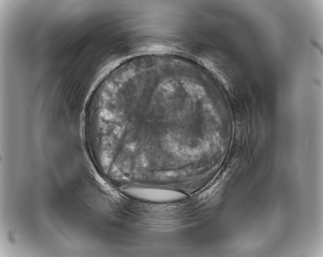 X0000094791421200712071217