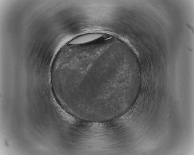 X0000094791424200712071217