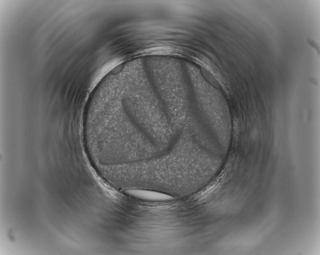 X0000094791426200712071217