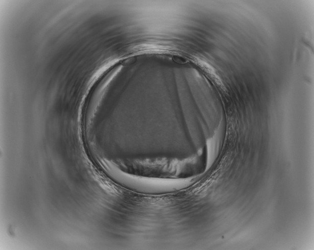 X0000094791427200712071217