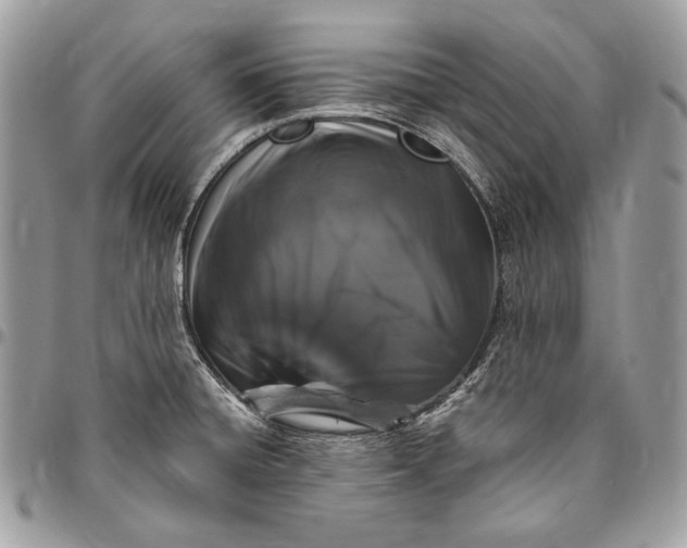 X0000094791428200712071217