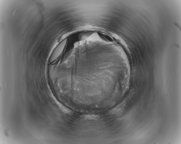 X0000094791429200712071217