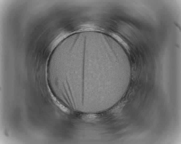 X0000094791431200712071217