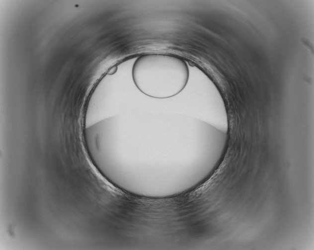 X0000094791432200712071217