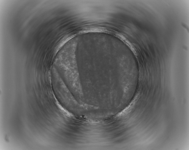 X0000094791433200712071217