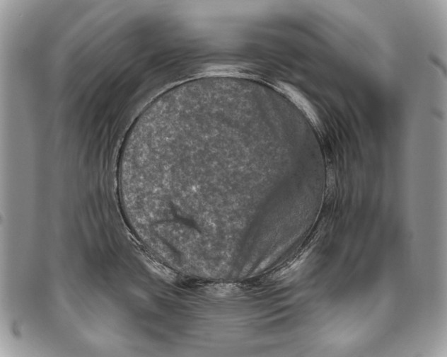 X0000094791435200712071217