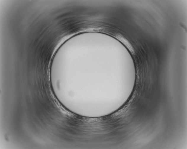 X0000094791436200712071217