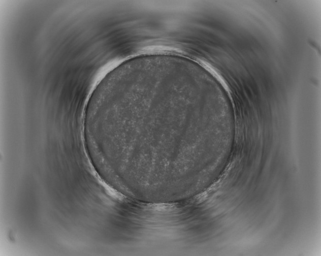 X0000094791437200712071217