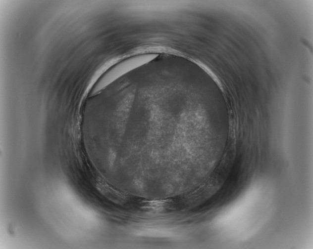 X0000094791438200712071217