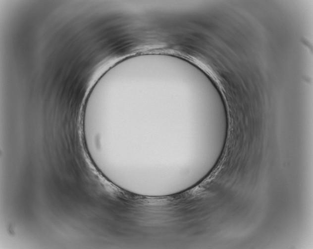 X0000094791440200712071217