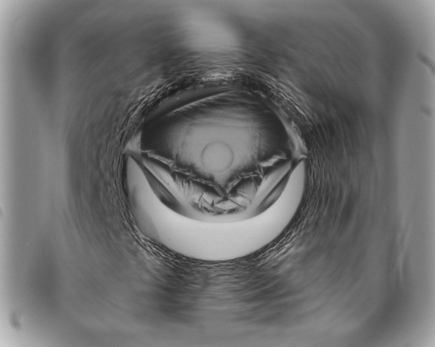 X0000094791441200712071217