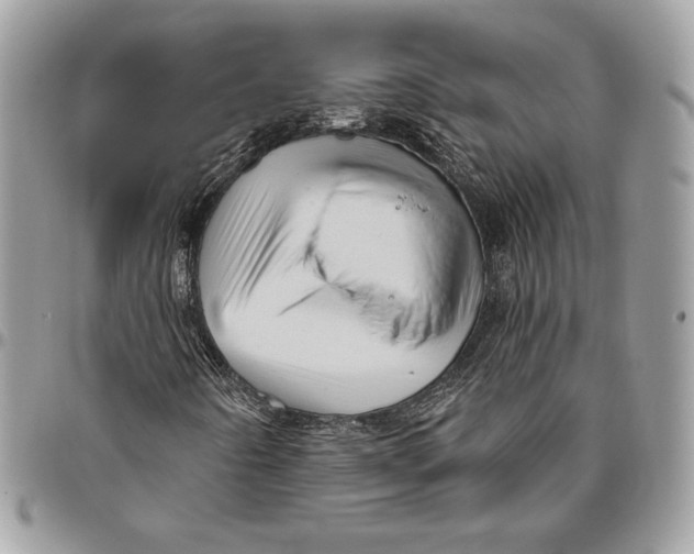 X0000094791442200712071217