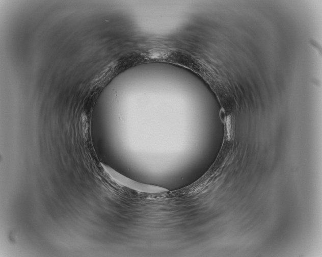 X0000094791443200712071217