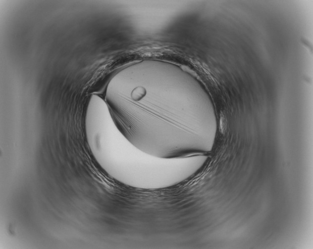 X0000094791444200712071217