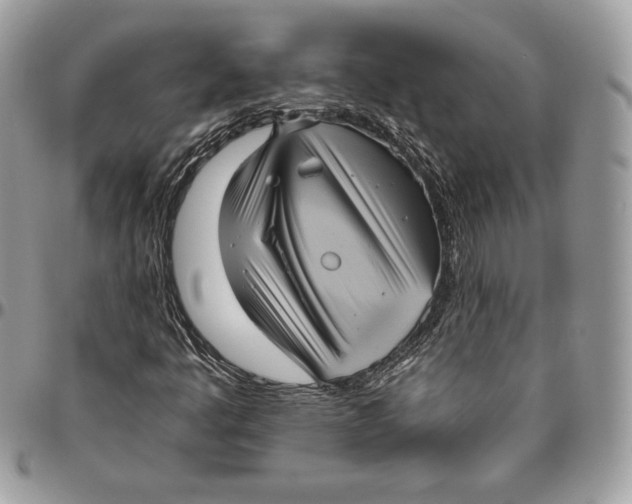 X0000094791445200712071217