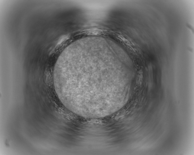 X0000094791446200712071217