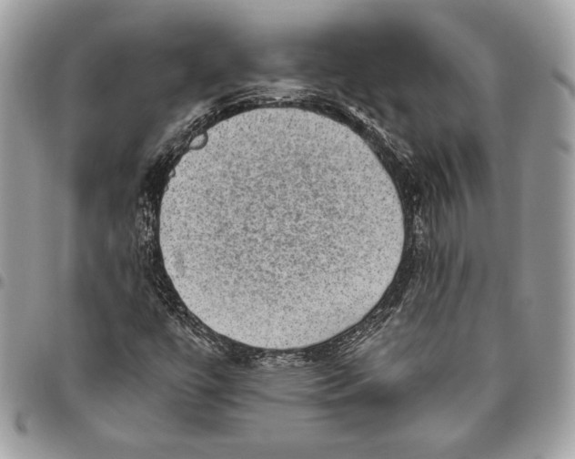 X0000094791447200712071216