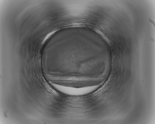 X0000094791450200712071216