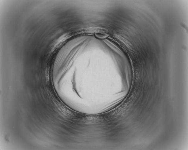 X0000094791451200712071216