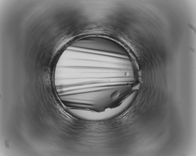 X0000094791452200712071216