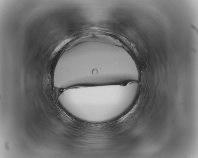 X0000094791453200712071216