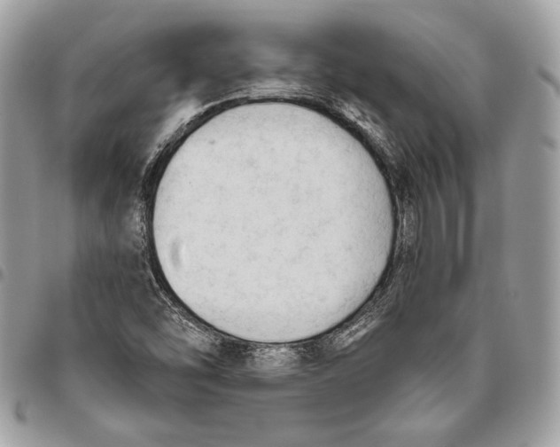 X0000094791454200712071216