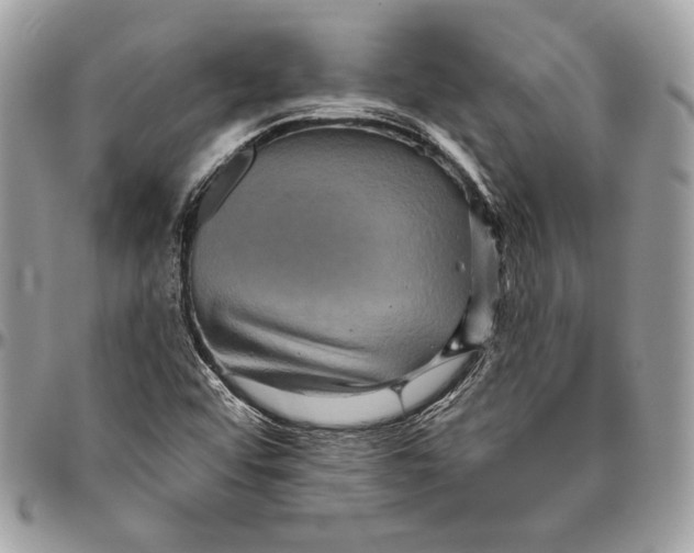 X0000094791456200712071216