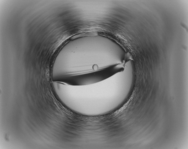 X0000094791457200712071216