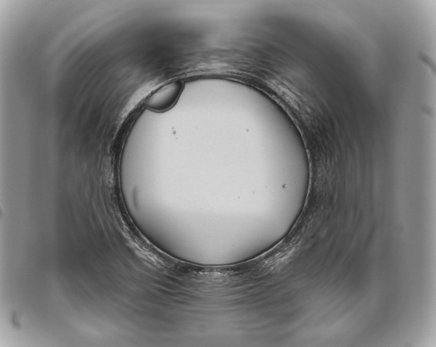 X0000094791458200712071216