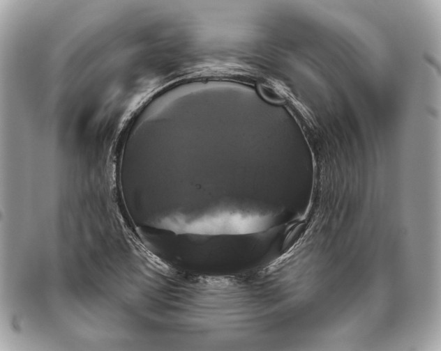 X0000094791459200712071216