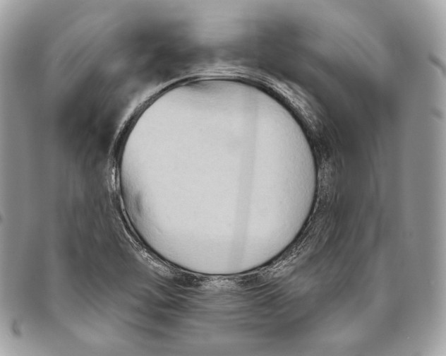 X0000094791462200712071216