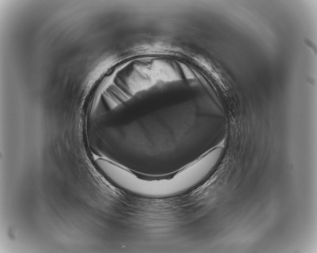 X0000094791463200712071216