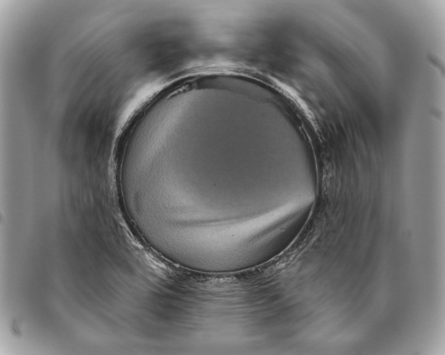 X0000094791464200712071216