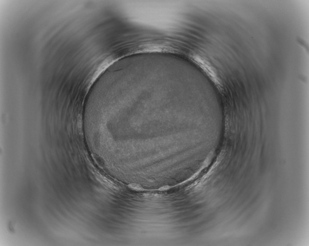 X0000094791465200712071216