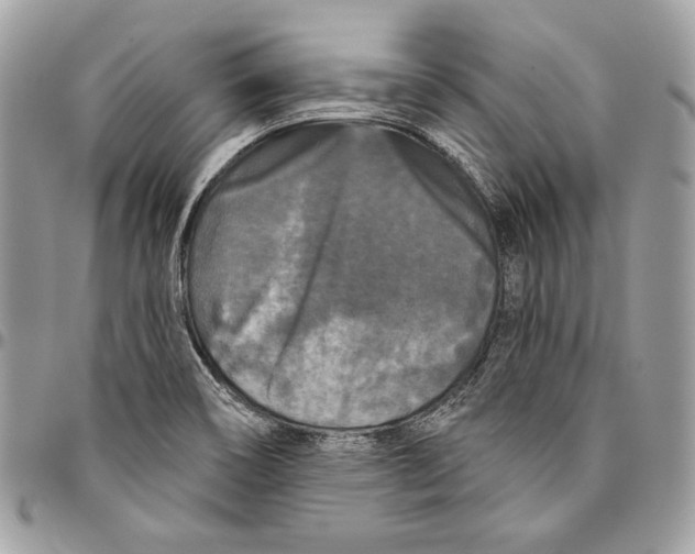 X0000094791466200712071216