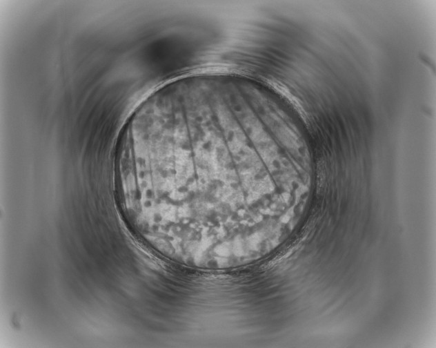 X0000094791467200712071216