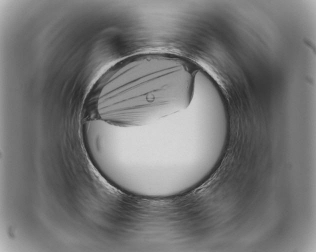 X0000094791468200712071216