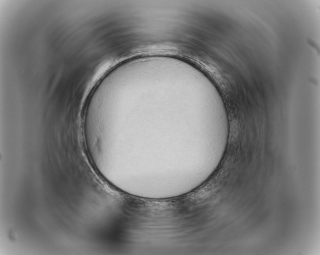 X0000094791470200712071216