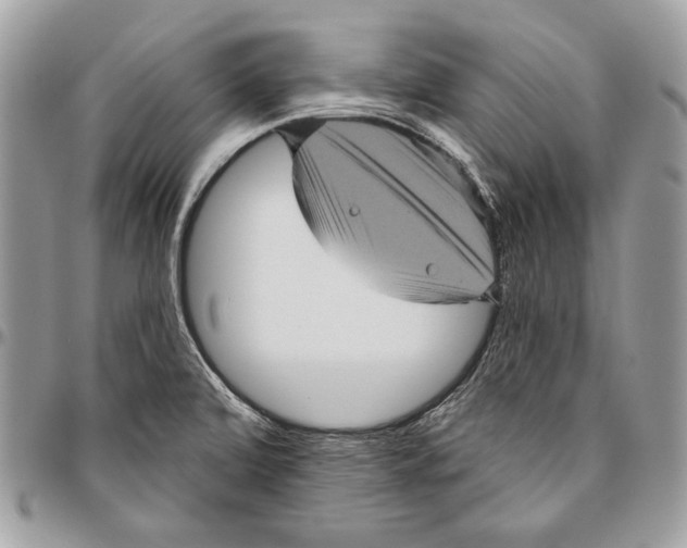 X0000094791472200712071216